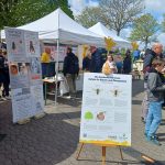 Meckenheimer Blütenfest