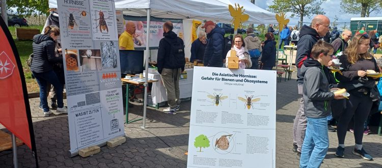 Meckenheimer Blütenfest