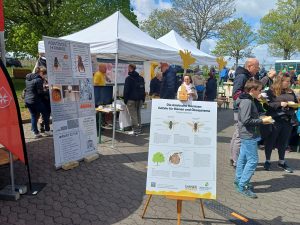 Meckenheimer Blütenfest
