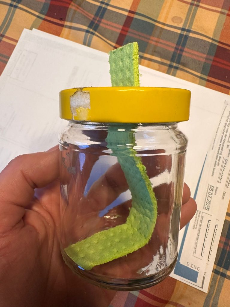 Locktopf Asiatische Hornisse 1