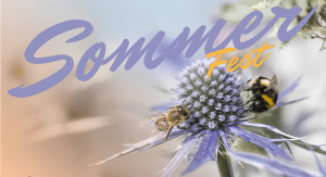 Sommerfest Beitragsbild