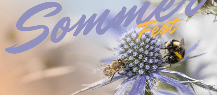 Sommerfest Beitragsbild