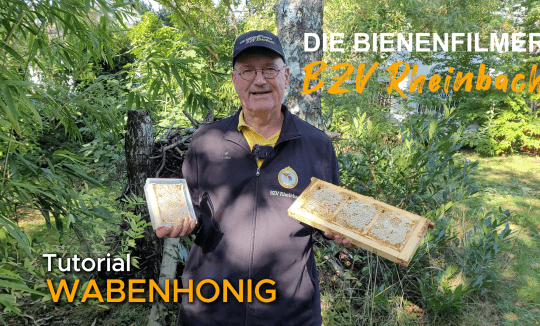 Wabenhonig machen - so geht's