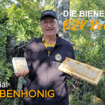 Wabenhonig machen - so geht's