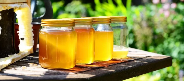Honiggläser auf Tisch im Garten