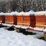 Winter Bienenstand