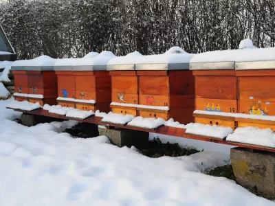 Winter Bienenstand