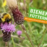 Broschüre BMEL Bienenfreundliche Pflanzen