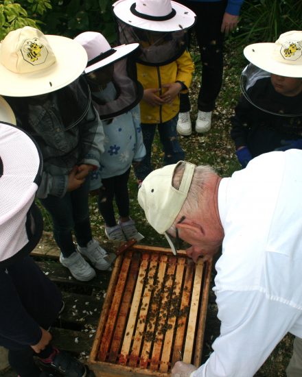Kindergartenkinder zu Besuch beim Imker