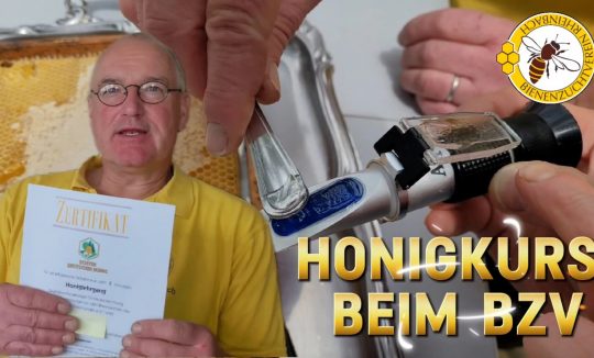 Honigkurs beim BZV