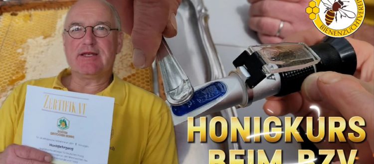 Honigkurs beim BZV