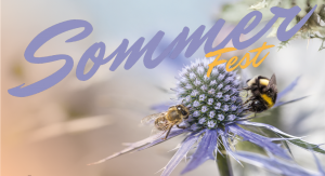 Sommerfest Beitragsbild