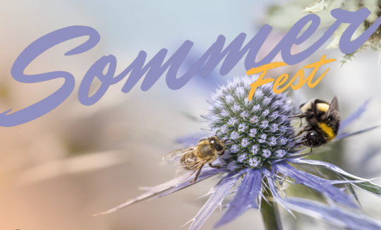 Sommerfest Beitragsbild