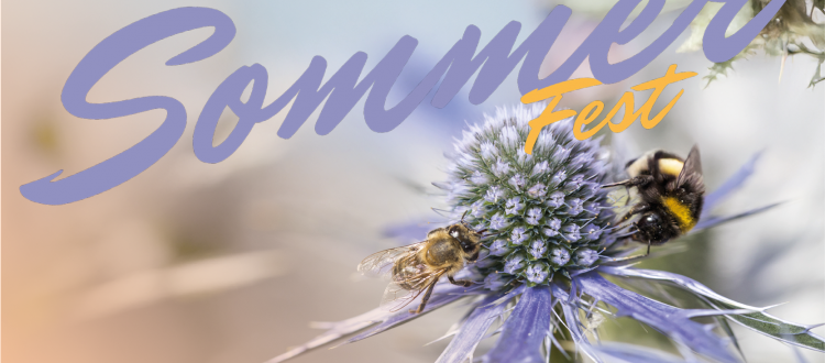 Sommerfest Beitragsbild