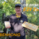 Wabenhonig machen - so geht's