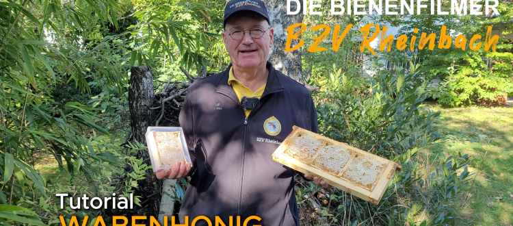 Wabenhonig machen - so geht's